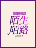 高冷总裁：陌生陌路