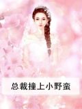 总裁撞上小野蛮