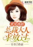 蜜爱逃婚：总裁大人求放过