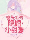 骆先生的隐婚小甜妻