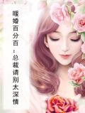 暖婚百分百：总裁请别太深情