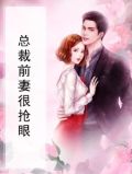 总裁前妻很抢眼