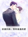 前妻归来：等待重逢的爱