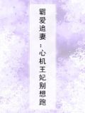 霸爱追妻：心机王妃别想跑