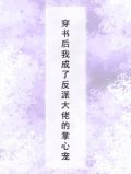 穿书后我成了反派大佬的掌心宠
