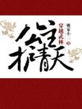 穿越武林公主护青天