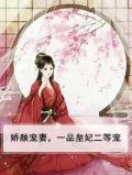 娇颜宠妻，一品皇妃二等宠