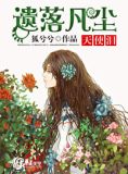 遗落凡尘天使泪