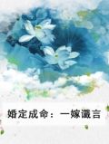 婚定成命：一嫁谶言