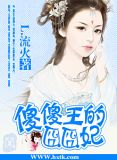 傻傻王的囧囧妃