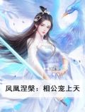 凤凰涅槃：相公宠上天