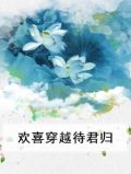 欢喜穿越待君归