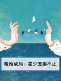 哑婚成局：霍少宠妻不止