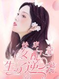 快穿：女配靠生子逆袭
