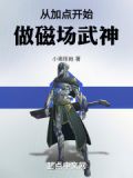 从加点开始做磁场武神