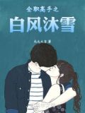 全职高手之白风沐雪