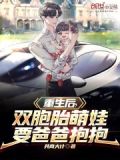 重生后生下双胞胎儿子