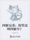 四驱兄弟：你管这叫四驱车？