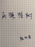 两棵榕树