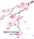 穿越古代升级日常