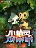 小精灵观察家