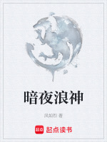 暗夜浪神
