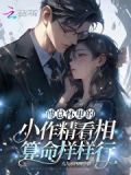 傅总的小说