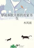 穿成乖软夫郎的农家书生全文阅读