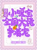 团宠小暖宝：全国大佬争着宠