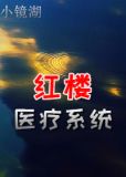 红楼医疗系统