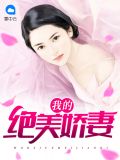我的绝美娇妻