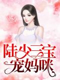 陆少三宝宠妈咪
