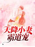 天降小妻霸道宠