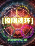 极限魂环