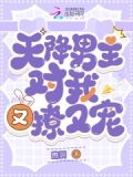 天降男主对我又撩又宠小说