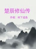 楚辰修仙传