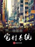 向往的宅村系统