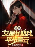 女局长的曲折升迁路权力风暴 小说
