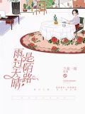 雨过天晴是陌路