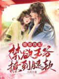 娇娇医妃:禁欲王爷撩到腿软