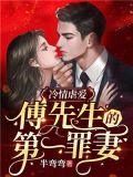 冷情虐爱：傅先生的第一罪妻