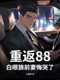 小说重返1987免费阅读