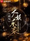 成为大明星的小说