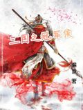 三国之冠军侯小说