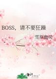 BOSS,请不要狂躁