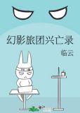 幻影旅团兴亡录