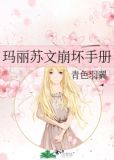 玛丽苏文崩坏手册