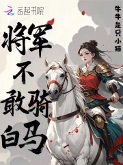将军不敢骑白马,亡者不敢夜秉烛,实乃固者
