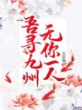 吾寻九州，无你一人