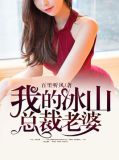 我的冰山总裁老婆